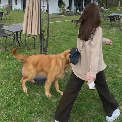 动物的秘密生活